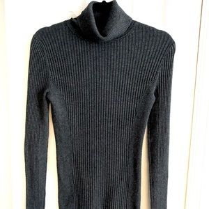 Express Turtleneck Top Size Large